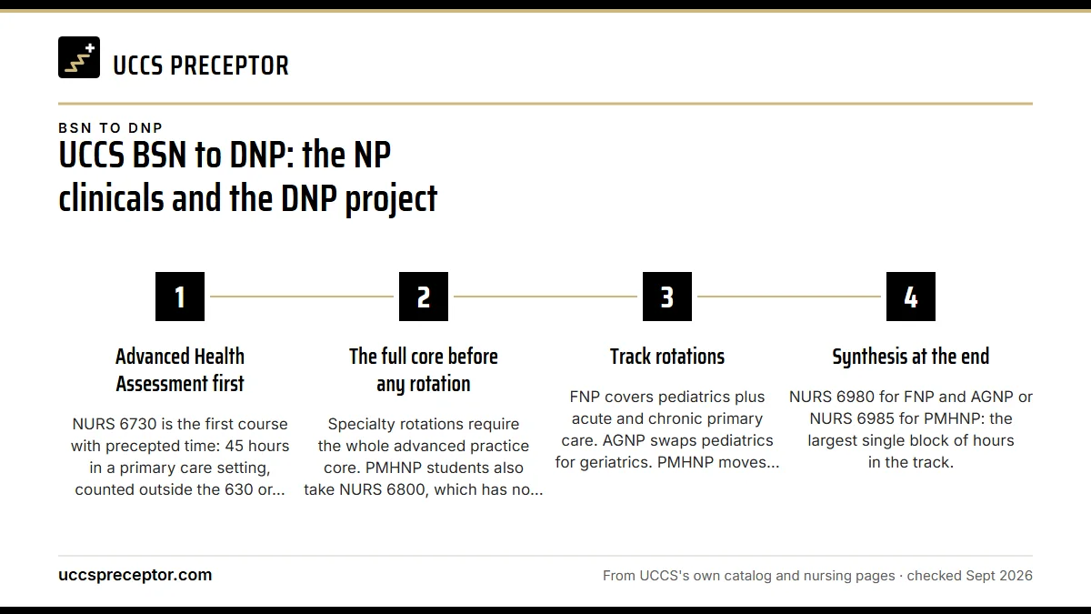 Numbered steps. The NP clinical sequence inside the doctorate: 1 Advanced Health Assessment first; 2 The full core before any rotation; 3 Track rotations; 4 Synthesis at the end.