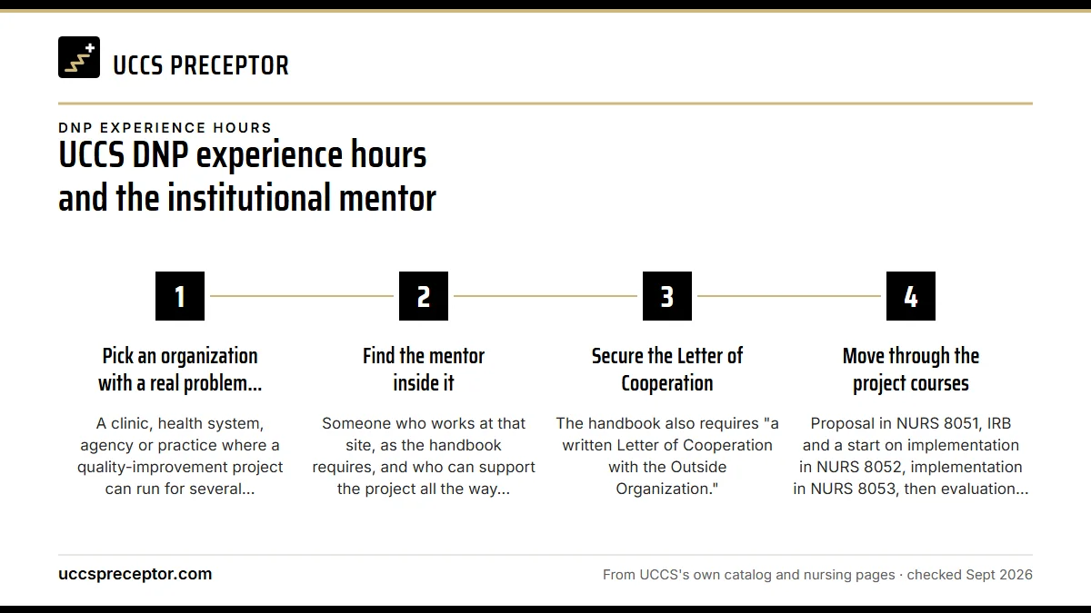 Numbered steps. The institutional mentor and your project site: 1 Pick an organization with a real problem to study; 2 Find the mentor inside it; 3 Secure the Letter of Cooperation; 4 Move through the project courses.
