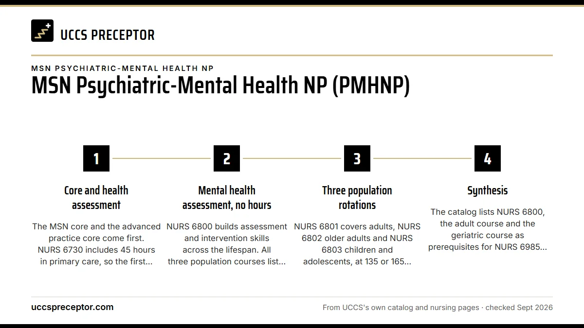 Numbered steps. How the track unfolds: 1 Core and health assessment; 2 Mental health assessment, no hours; 3 Three population rotations; 4 Synthesis.